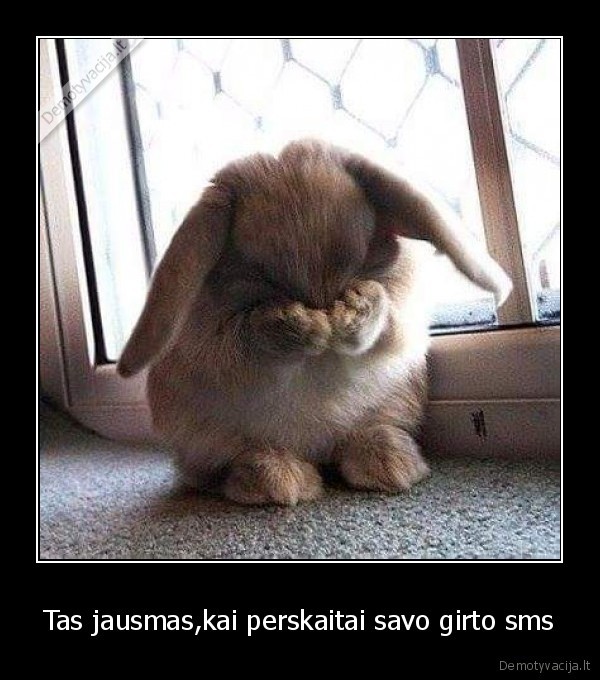 Tas jausmas,kai perskaitai savo girto sms