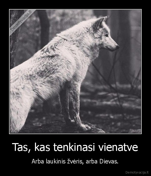 vienatve,vienisas, vyras