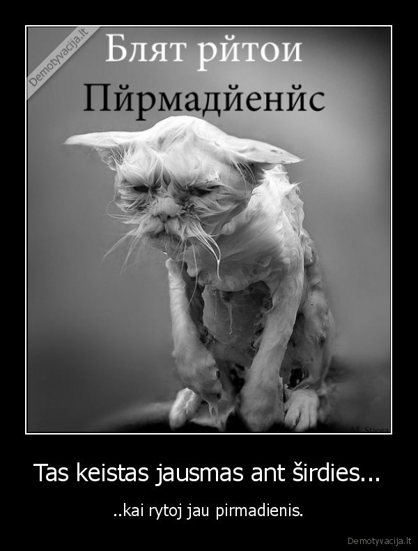 pirmadienis,bbd,sirdis