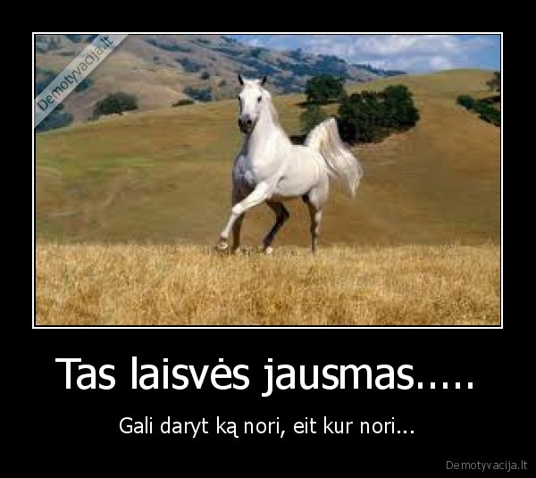 Tas laisvės jausmas.....