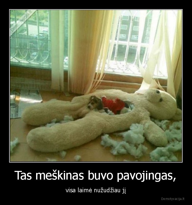 meskinas,suo,isgelbejo,seimininka