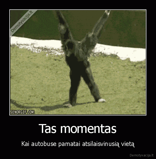 juokinga, bezdzione,vaziavimas, autobusu