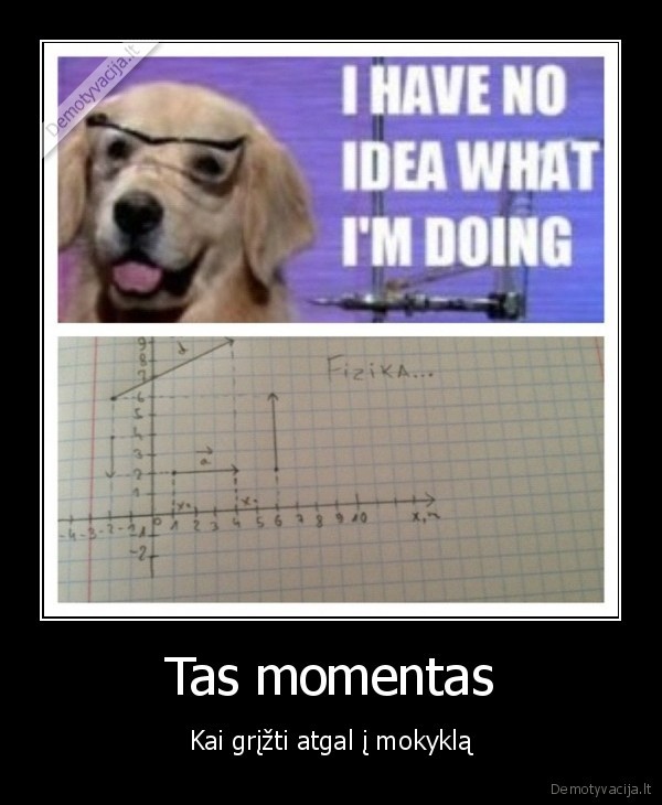 pamokos,moklai,prikolas,lol,papai,mona, liza,kodel, tu, vis, dar, skaitai, sita