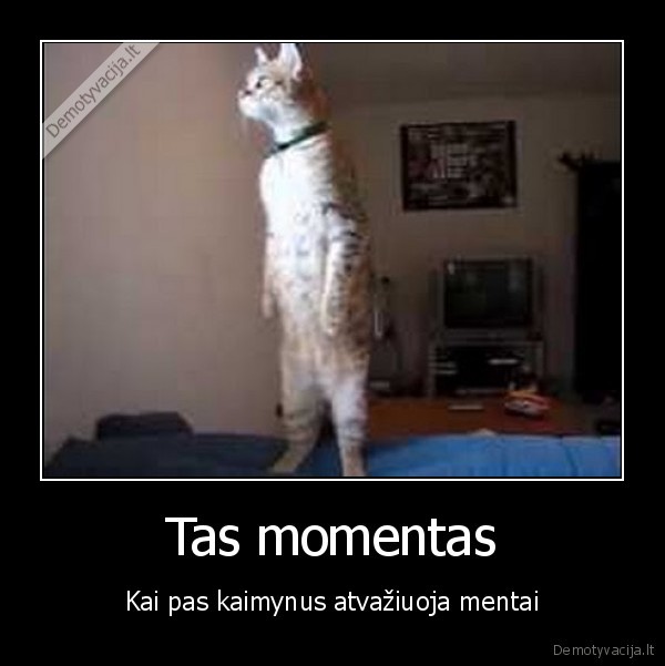 mentai, apsilanke,policija