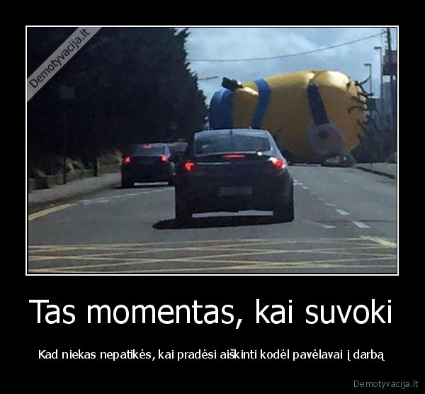 darbas,pimpackiukas,kamstis,pakalikas