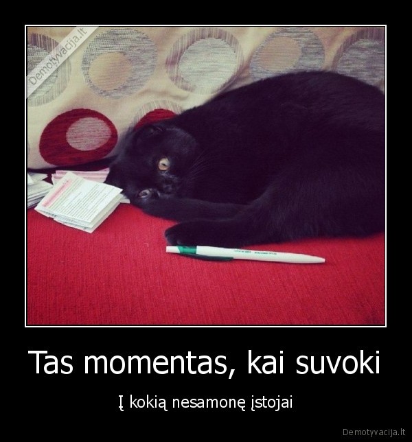 stojimai, 2014,universitetai,sokas