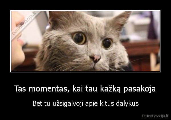 pasakojimas,juokingas, katinas,neklauso