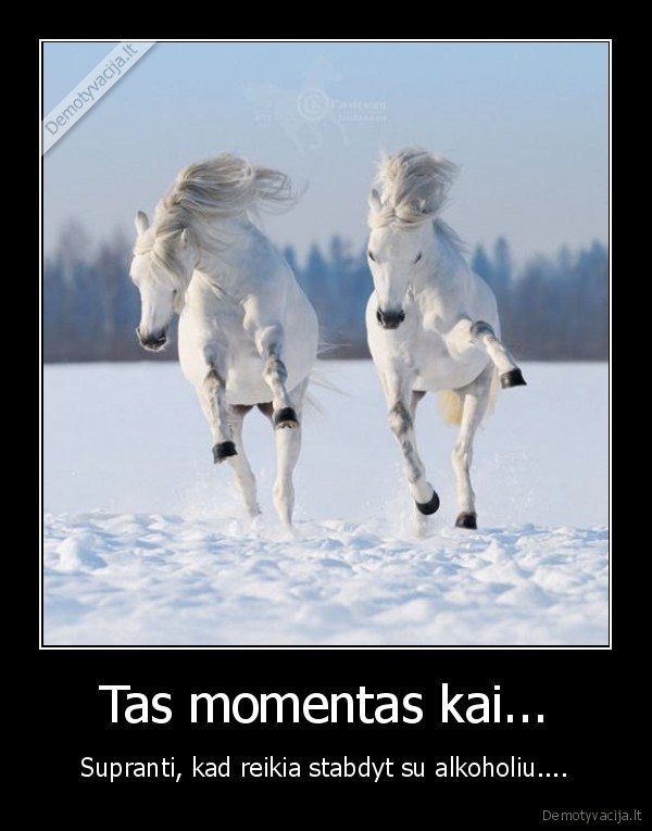 po, baltu, arkliu, ryzos, putpeles, buna, o, tada, jau, pz