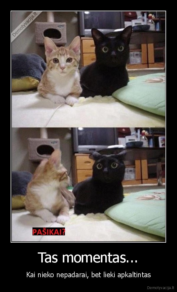 Tas momentas...