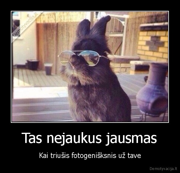 triusis,swag