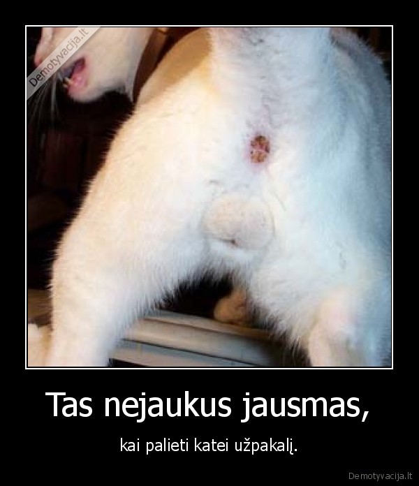 Tas nejaukus jausmas,