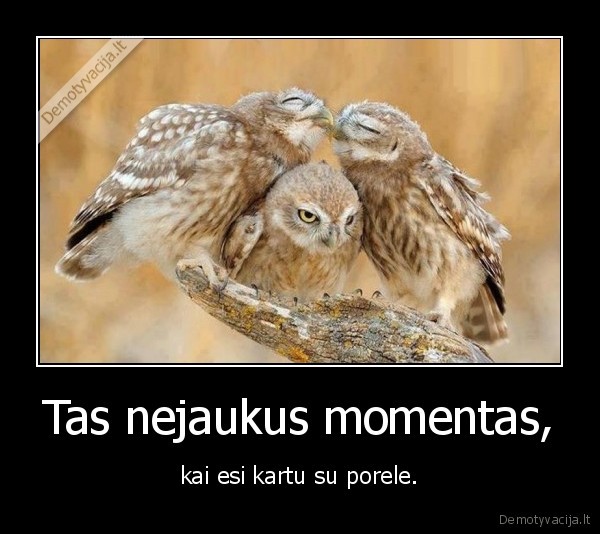 peledu, pora,mielos, peledos