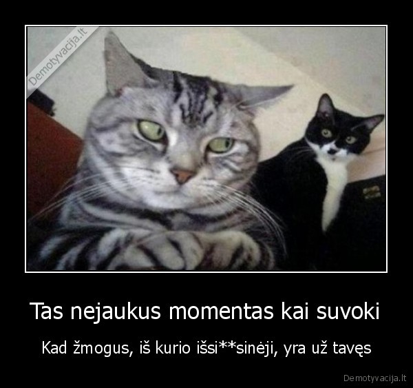 zmones,kates,issipisinejimas