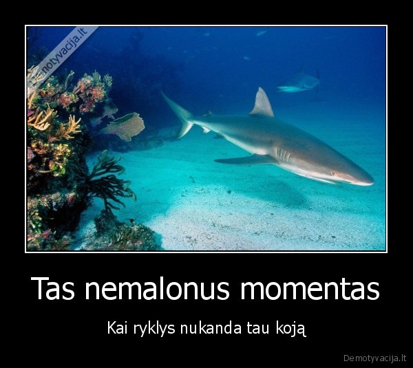 ryklus,nukanda,koja,supleso