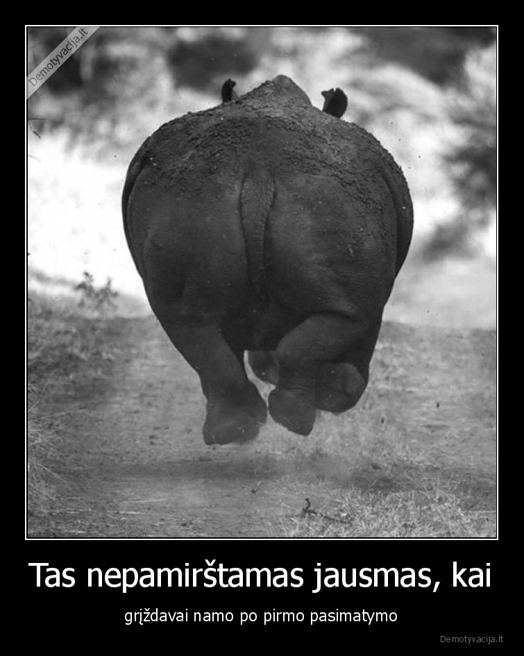 pirmas, pasimatymas,namo,grizti,laime,sokineji,begemotas