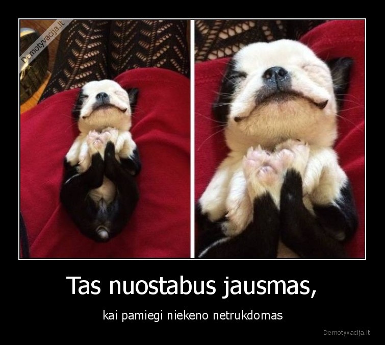 sunys,suo,miegas,pokaitis