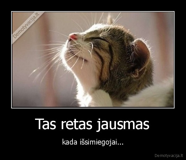 miegas,issimiegoti,laimingas