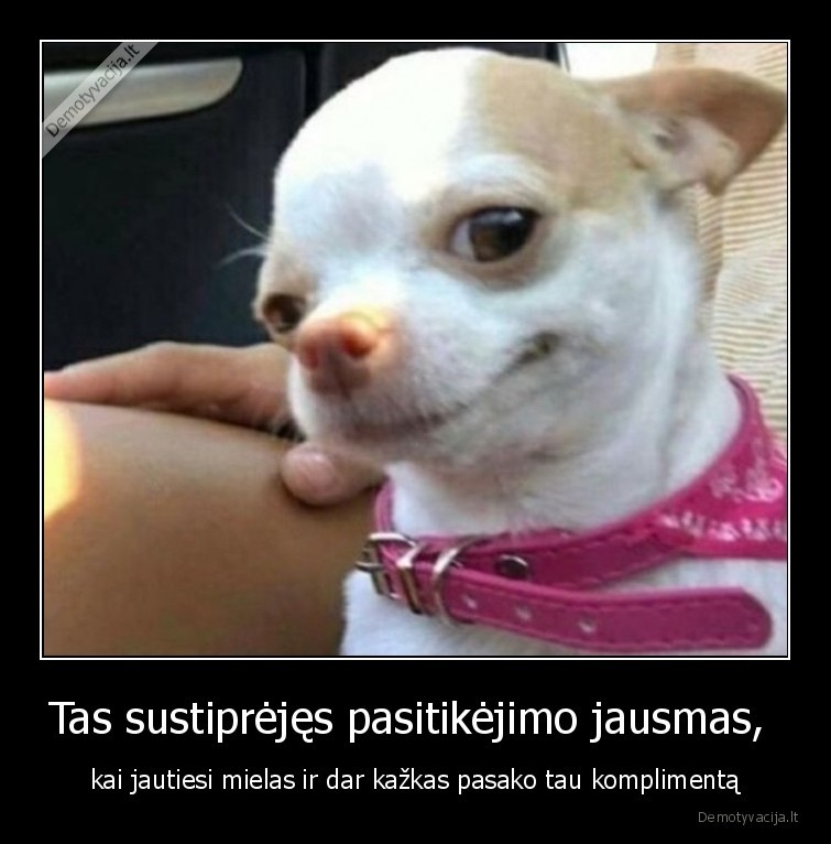 pasitikejimas,jausmas,mielas,komplimentai