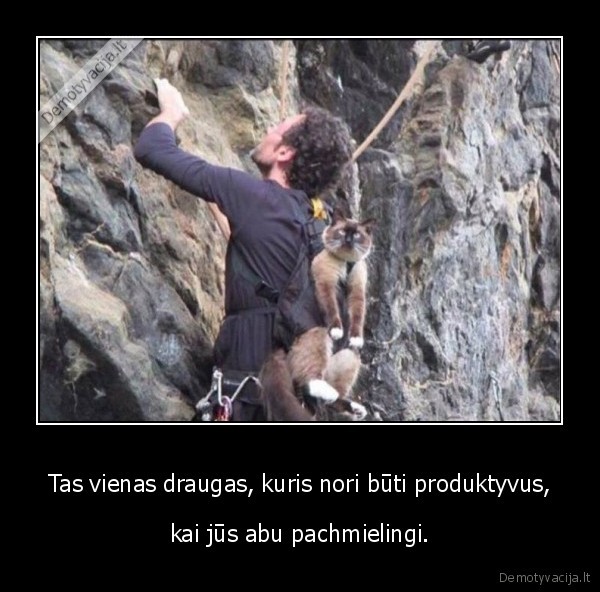 draugas,kate,katinas,pachmelas