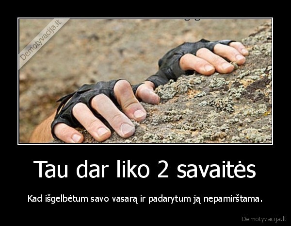 vasara,pabaiga,gelbeti