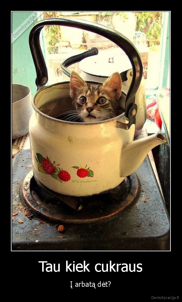 katinas, arbatinuke,juokingas, katinas,cukrus, i, arbata