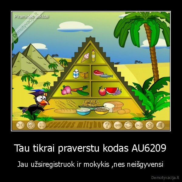 Tau tikrai praverstu kodas AU6209