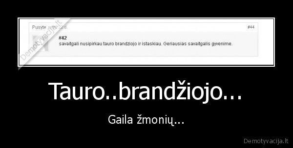 Tauro..brandžiojo...