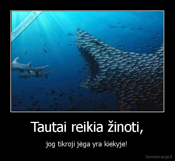 Tautai reikia žinoti,