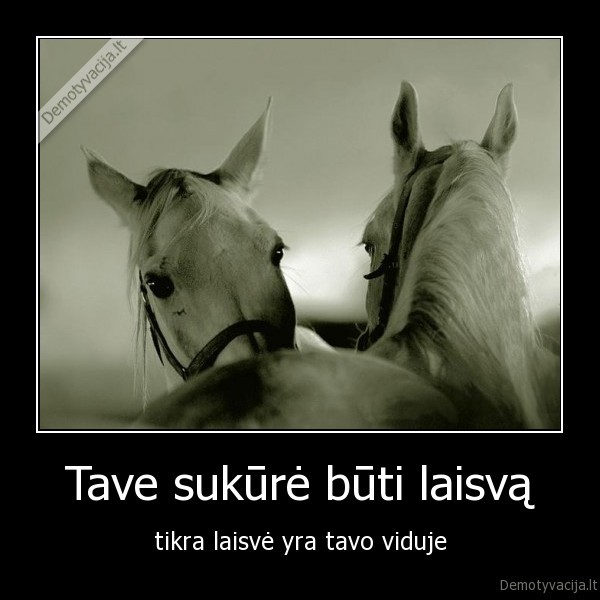 Tave sukūrė būti laisvą