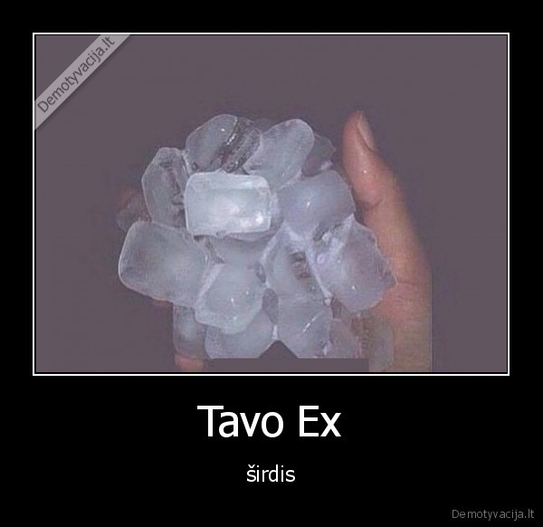 Tavo Ex