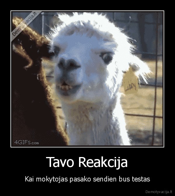 reakcijos
