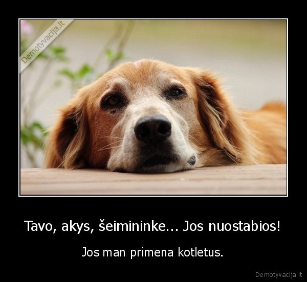 Tavo, akys, šeimininke... Jos nuostabios!