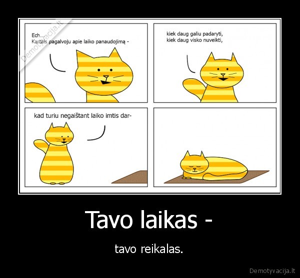 Tavo laikas -