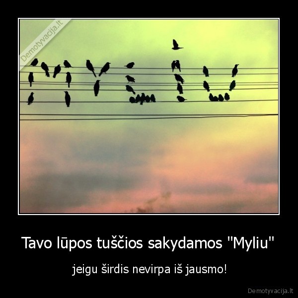 meiile,sirdis,jausmas,lupos