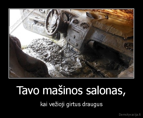 salonas,draugai,purvina,salonas