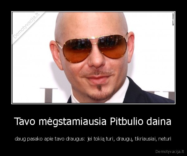 pitbulis,draugai,draugyste
