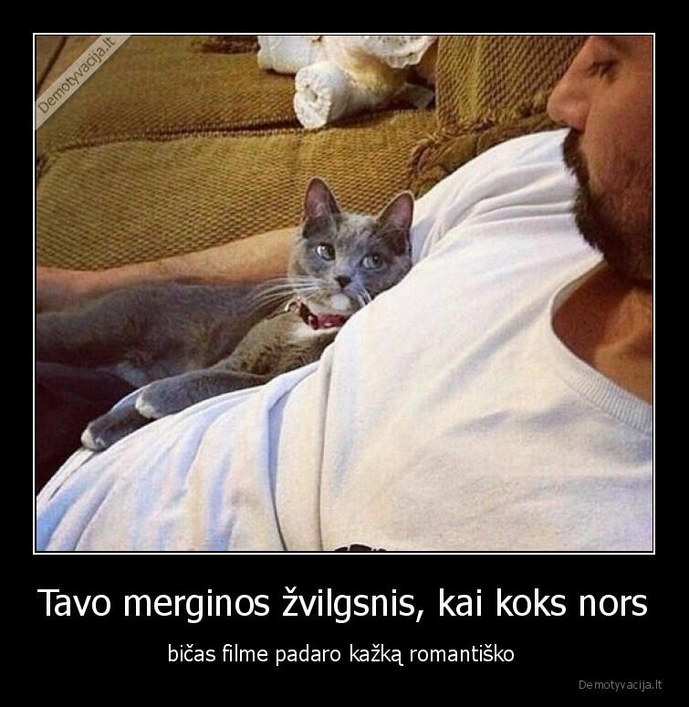 romantika,kur,ji,mergina,katinas