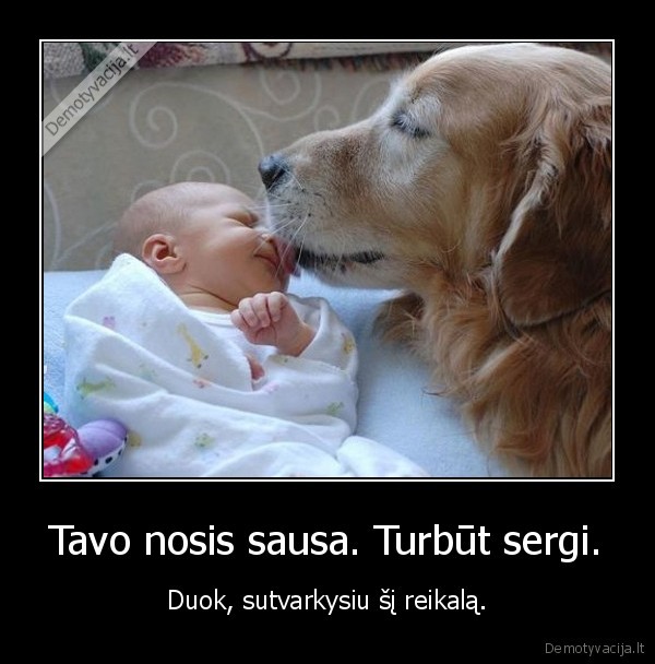 sausa, nosis,kudikis, ir, suo