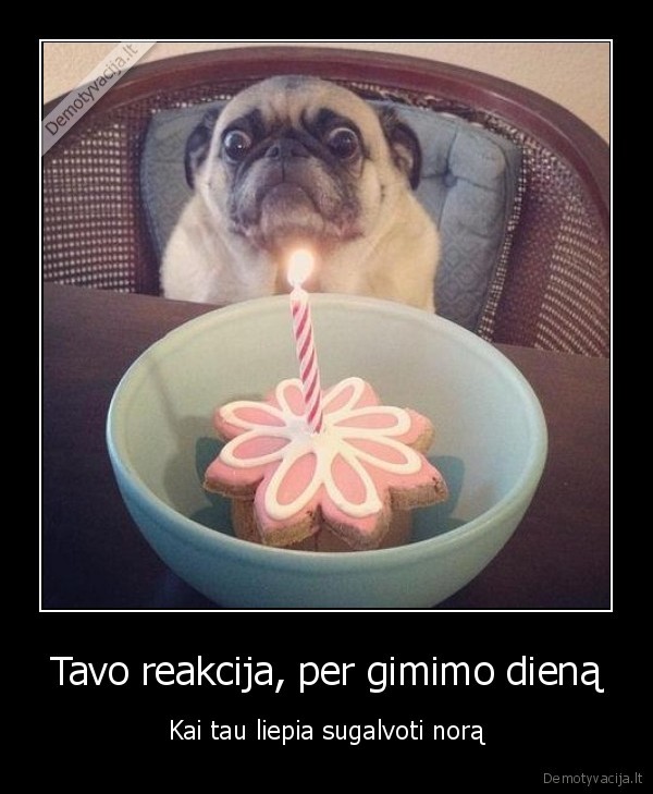 Tavo reakcija, per gimimo dieną