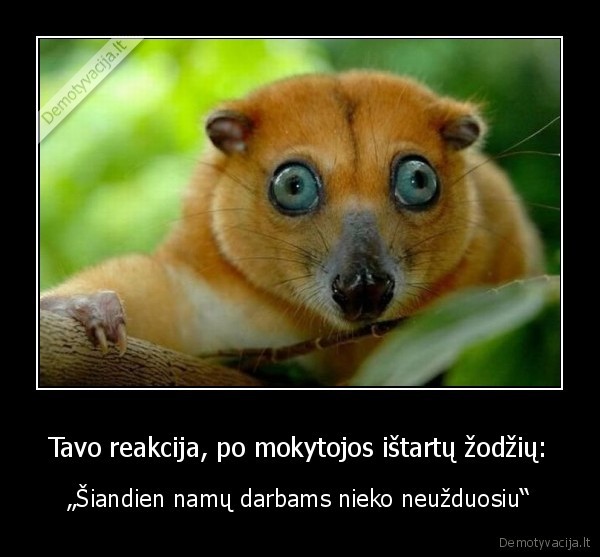 nekenciu, namu, darbu