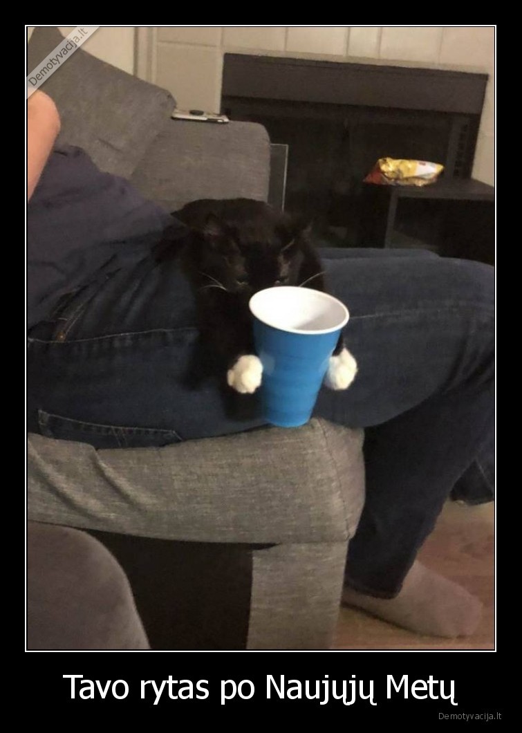 naujieji,katinas,praso,atsigerti