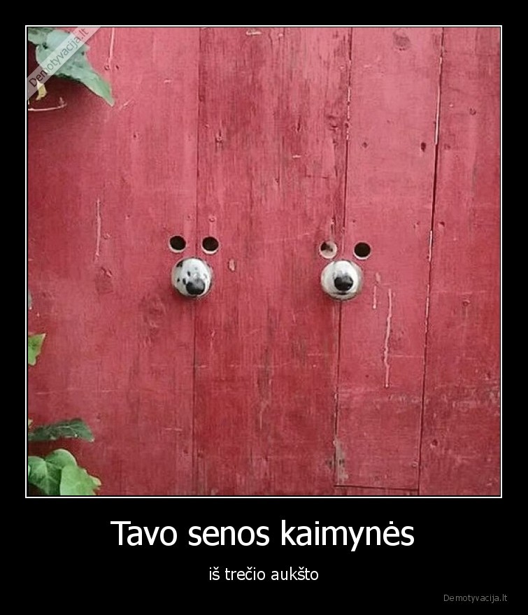 kaimynai,sunys,viska, girdi,zino