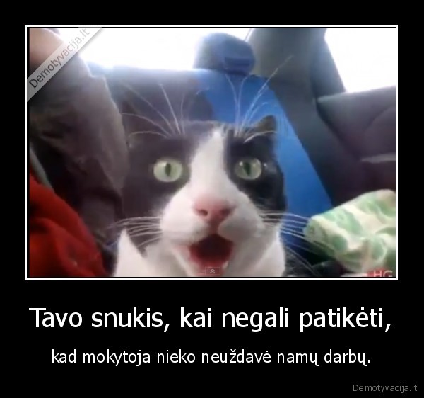 Tavo snukis, kai negali patikėti,