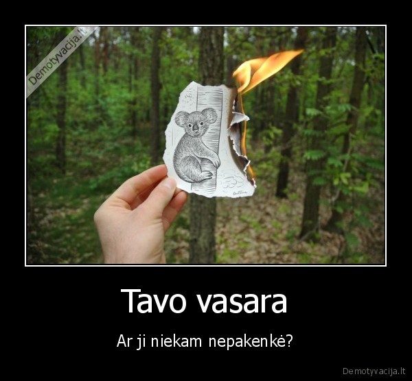 miskas,gaisras,gyvunai,nuoruka,ugnis