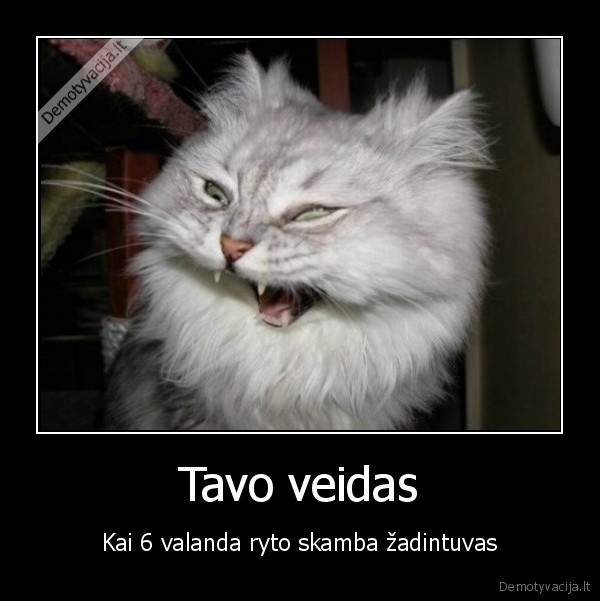 rytas,keltis,skamba, ir, t.t