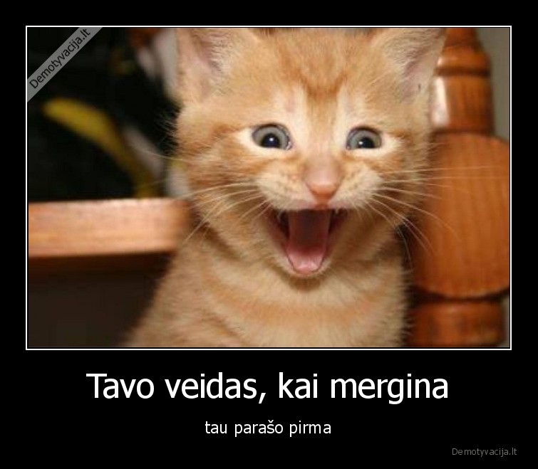 mergina,zinutes,susirasinejimai,mergina, paraso, pirma,demesys,santykiai