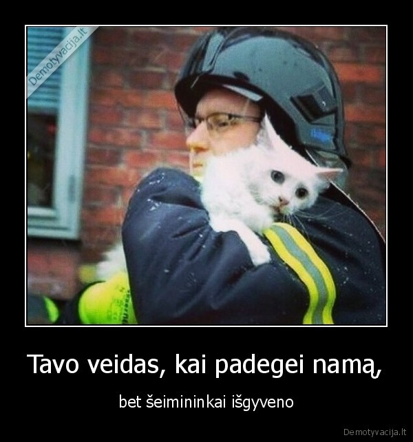 katinas,gaisrininkas