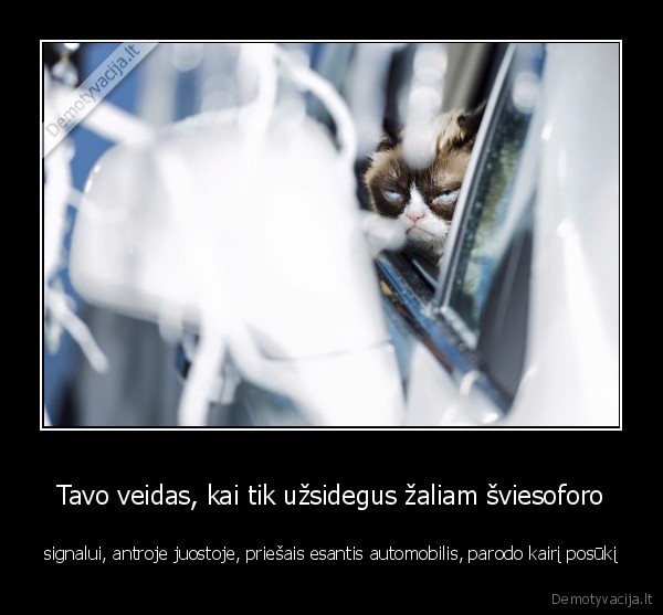 Tavo veidas, kai tik užsidegus žaliam šviesoforo