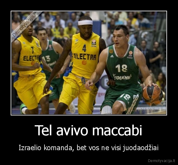 Tel avivo maccabi