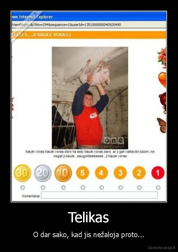 kiaule, voras, simpsonai, telikas, protas